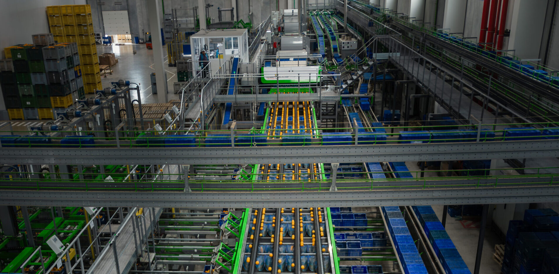 Automatización poscosecha para cítricos: eficiencia, homogeneidad y calidad con las soluciones de MAF RODA 4 Soluciónes MAF RODA en la automatizacion de la poscosecha de los cítrícos