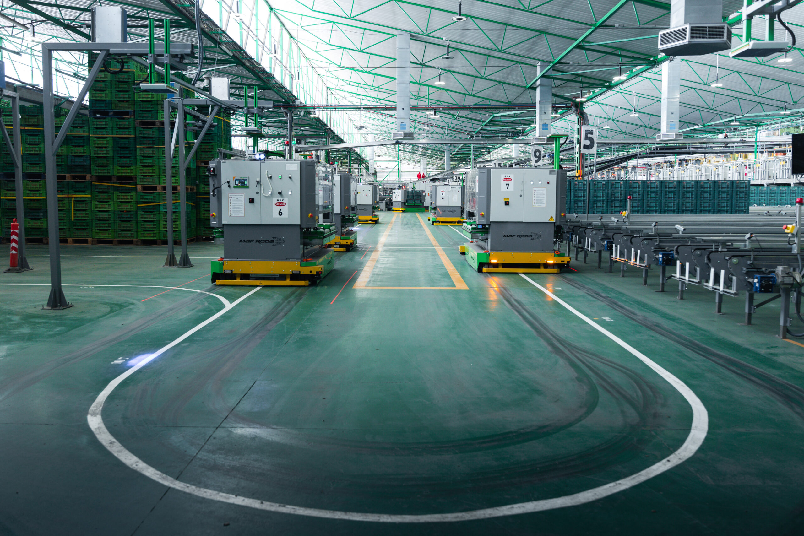 Automatización poscosecha para cítricos: eficiencia, homogeneidad y calidad con las soluciones de MAF RODA 5 2026 Yentzen Citricos 3 scaled