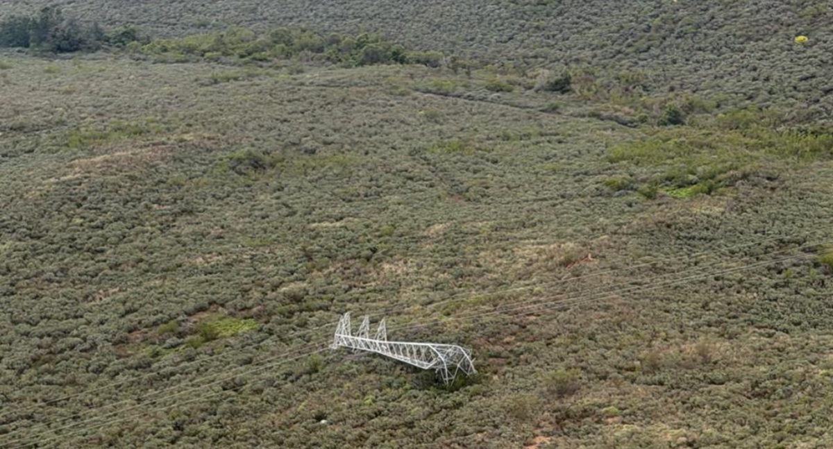 Tormentas en Sudáfrica ponen en riesgo exportaciones de fruta 3 entre seis y diez torres eléctricas en el sector de Waaihoek, entre Wolseley y Worcester, situación que mantiene restringido el suministro energético en una de las zonas frutícolas más importantes del país.