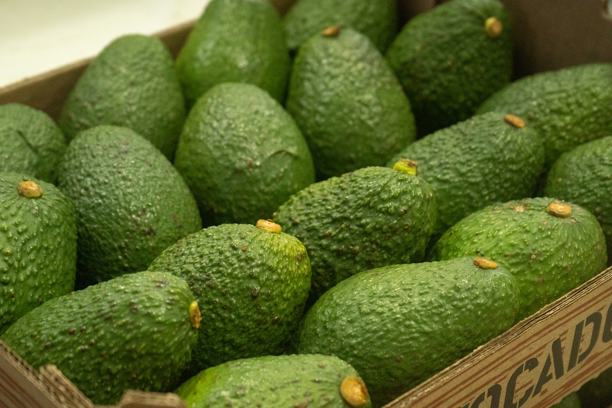 Un ejemplo de posicionamiento del aguacate Hass en Colombia