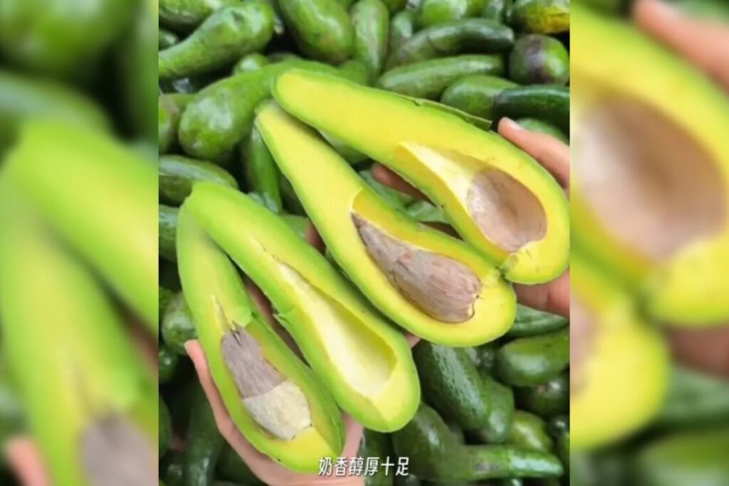 Un aguacate con forma de pepino y que se come como banana es viral en China