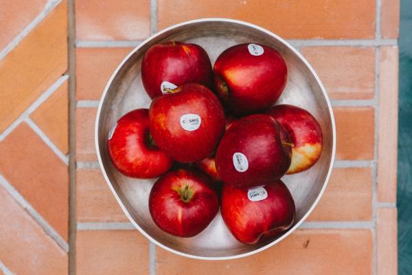 Cosmic Crisp: una manzana hecha por y para los productores de Washington
