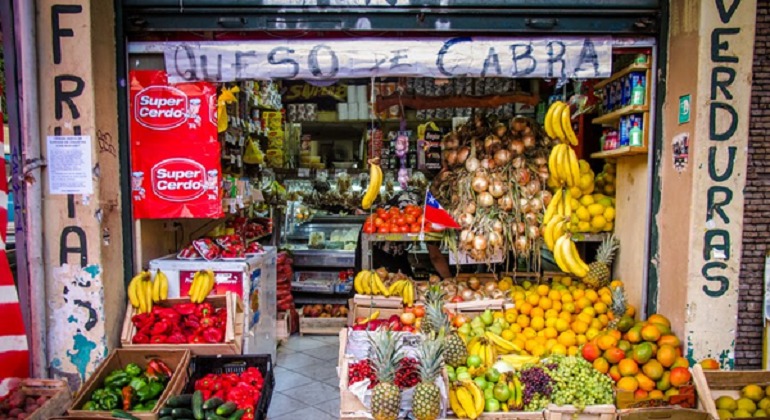 Sociedad Agrícola del Norte llama a frenar traslado irregular de fruta tras nuevo foco de mosca de la fruta en Ovalle 4 Sociedad Agrícola del Norte llama a frenar traslado irregular de fruta tras nuevo foco de mosca de la fruta en Ovalle