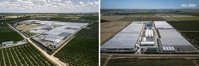 Fall Creek Spain celebra 10 años consolidándose como hub para Europa, Medio Oriente y África 3 Fall Creek Spain celebra 10 años consolidándose como hub para Europa, Medio Oriente y África