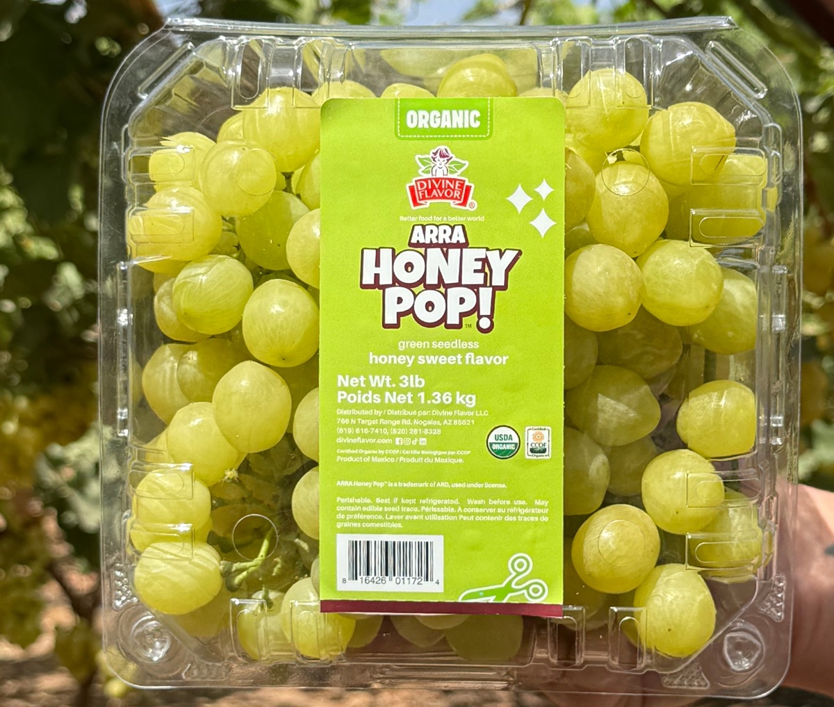 Divine Flavor y Grapa destacan el potencial de ARRA Honey Pop, una nueva variedad de uva blanca sin semilla