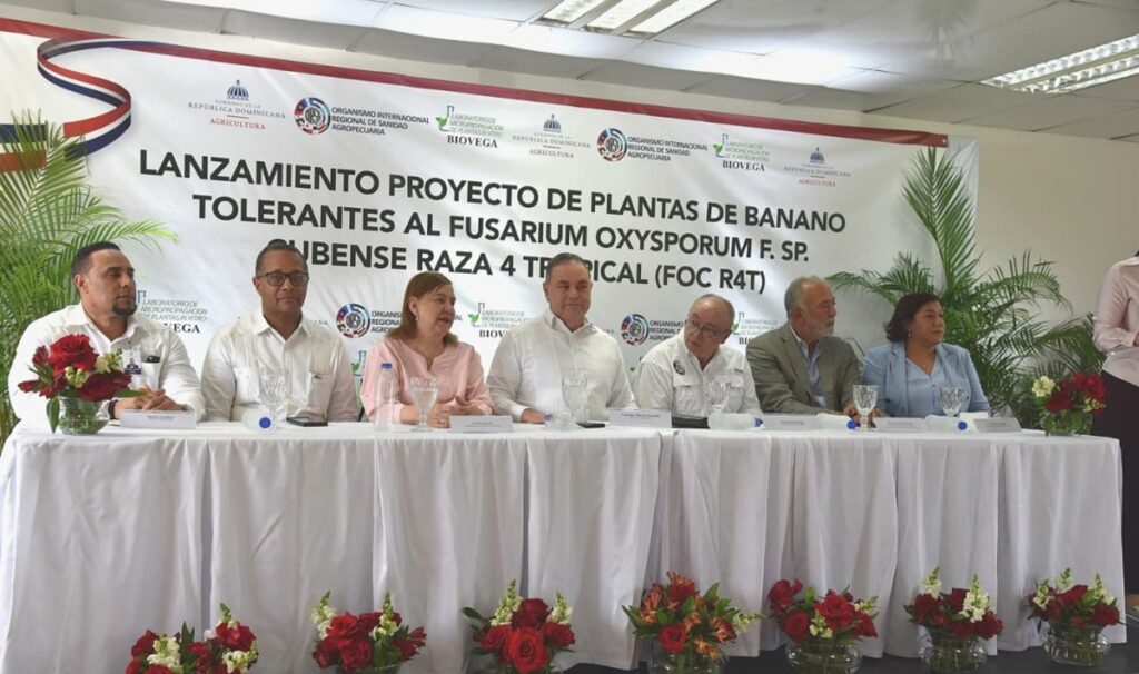 Banano dominicano da paso clave contra el Fusarium R4T con apoyo de OIRSA