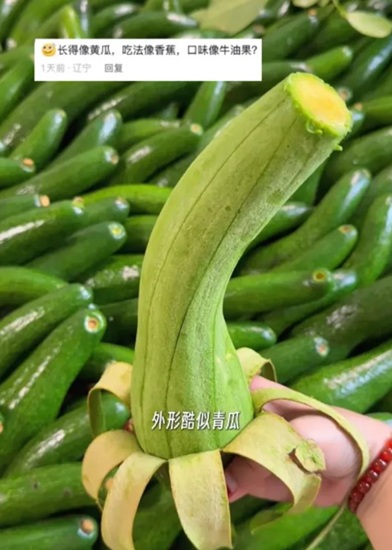 Un aguacate con forma de pepino y que se come como banana es viral en China 3 Un aguacate con forma de pepino y que se come como banana se vuelve viral en China