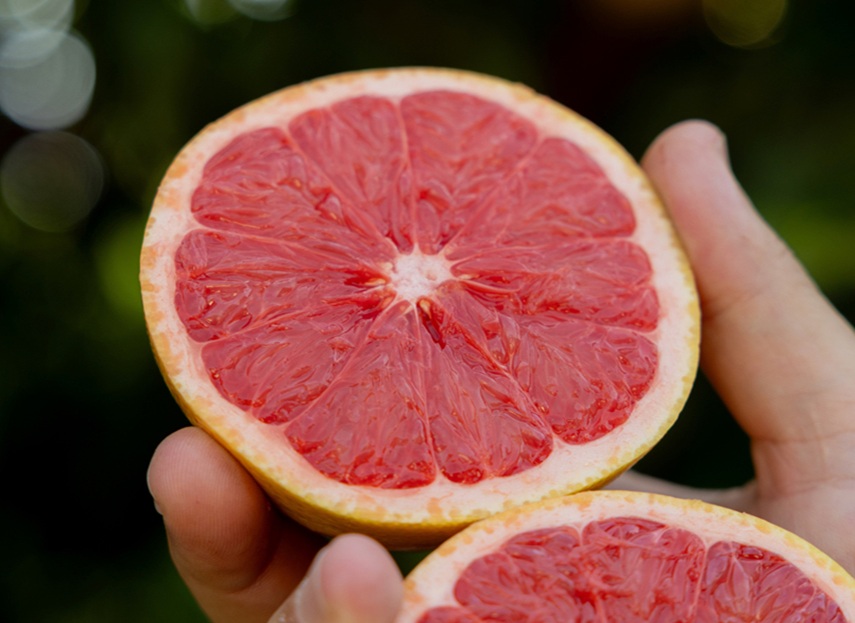 Pomelo SummerStar Ruby inicia campaña europea 2026 y expande su presencia a Francia y Países Bajos