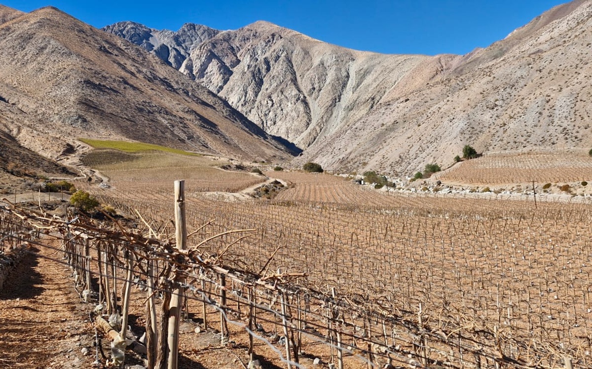 Riego y fertirrigación: elementos claves en invierno para evitar pérdidas de agua y nutrientes 3 Riego y fertirrigación: elementos claves en invierno para evitar pérdidas de agua y nutrientes