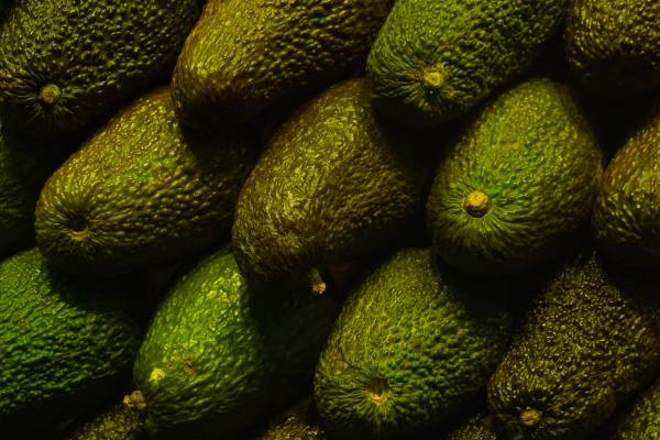 aguacate hass de mexico