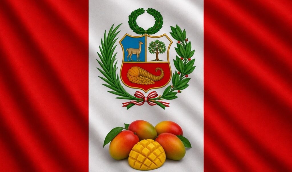 El mango peruano busca consolidar su liderazgo global en medio de nuevos retos comerciales