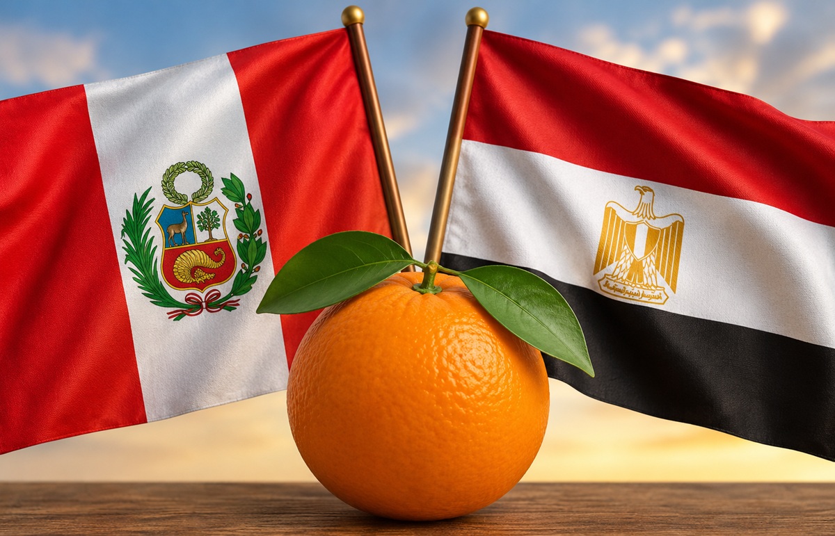 Perú establece requisitos fitosanitarios para importar naranjas frescas desde Egipto