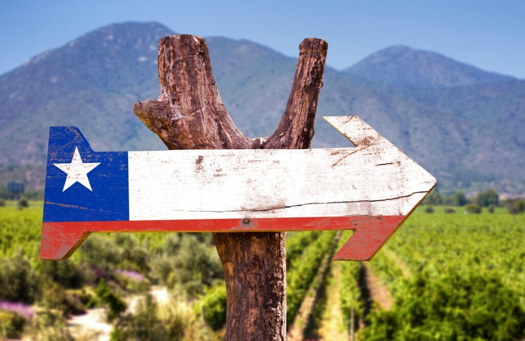 La rentabilidad de un proyecto agrícola comienza mucho antes de la primera cosecha