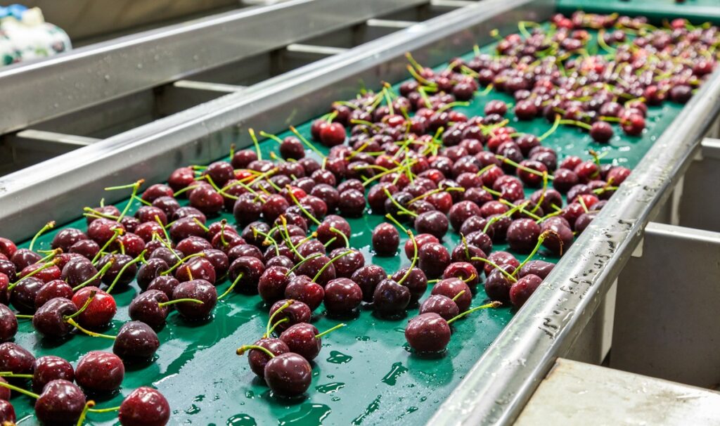 La calidad marca el inicio de la temporada de cerezas 2026 del noroeste de EE.UU., en una campaña más temprana de lo habitual