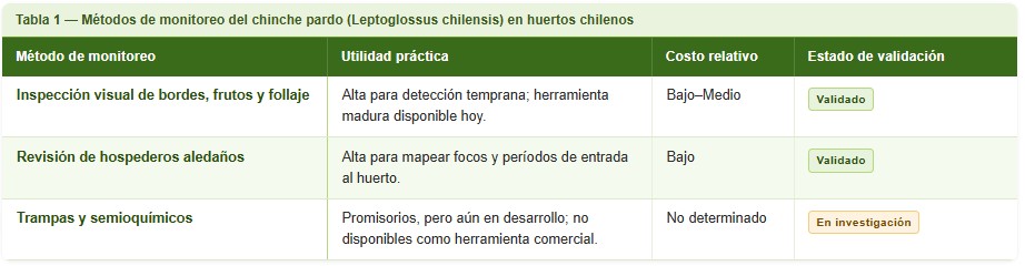 chinche pardo