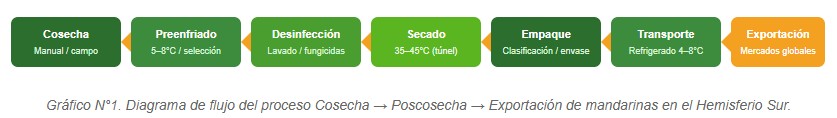 cosecha de mandarinas