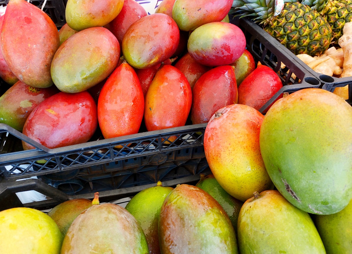 Del exótico al masivo: cómo el mango conquista Europa