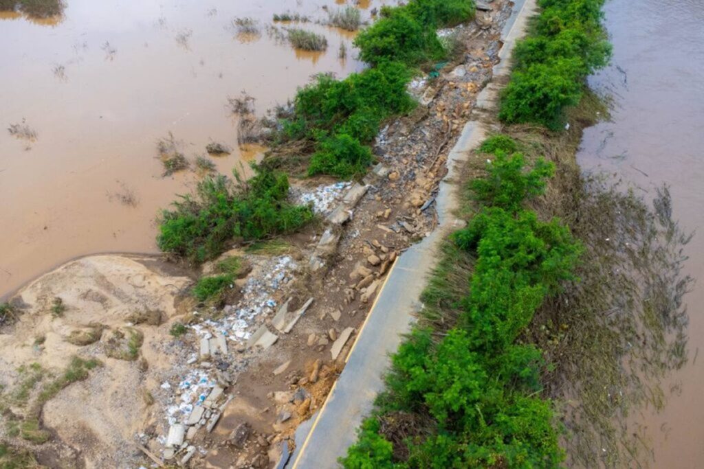 Regiones productoras de cítricos en Sudáfrica sufren graves inundaciones, los soft citrus serían los más afectados