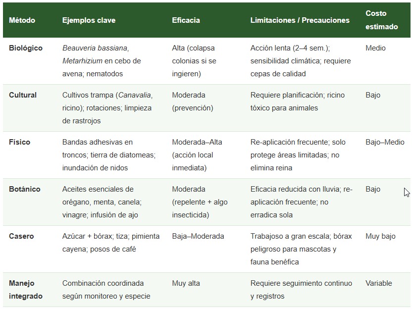 hormigas en cultivos