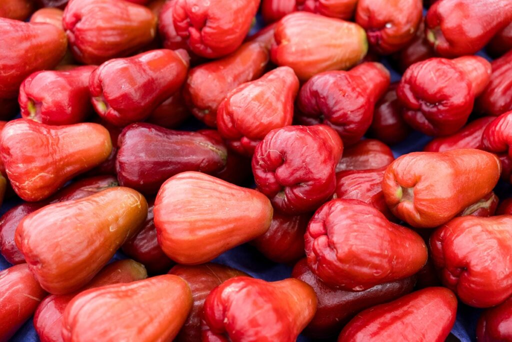 Manzanas de cera de China apuntan a supermercados premium de Europa y Medio Oriente