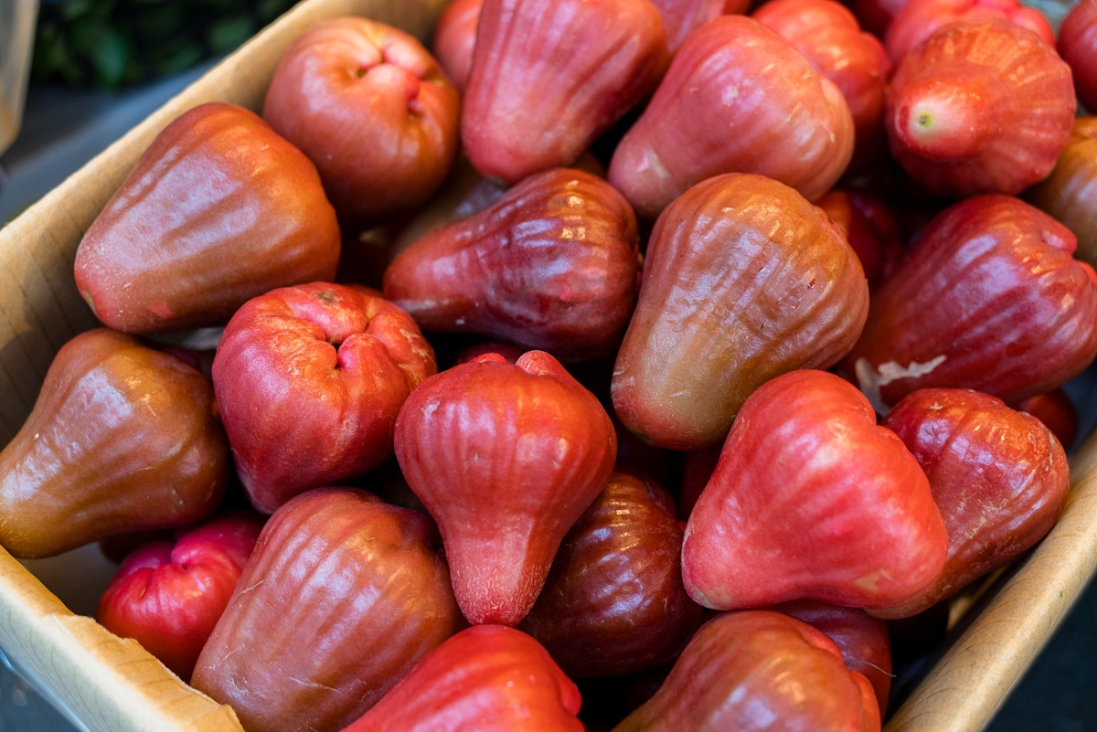 Manzanas de cera de China apuntan a supermercados premium de Europa y Medio Oriente 3 Manzanas de cera de China apuntan a supermercados premium de Europa y Medio Oriente