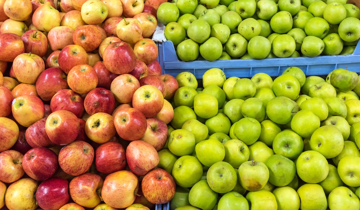 Chile: primera estimación de manzanas frescas anticipa leve alza en exportaciones para 2026