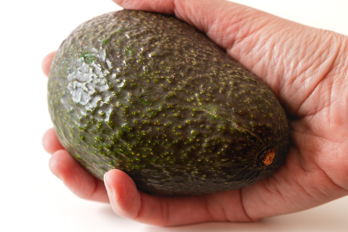 México define estándares para la Indicación Geográfica Protegida "Aguacate Franja Michoacán"