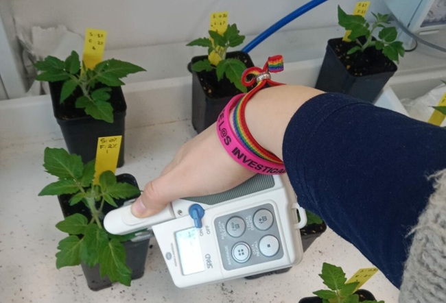 Científicos desarrollan bioabono que aumenta hasta 60% la producción agrícola