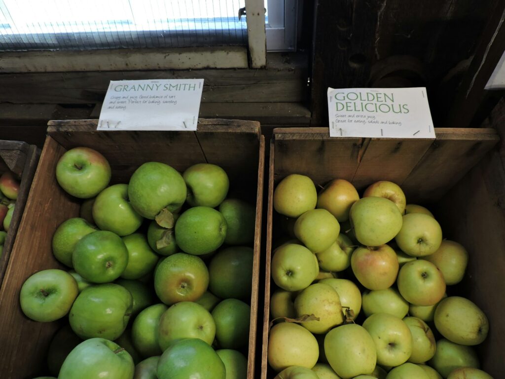 Microorganismos podrían revolucionar el control de enfermedades en manzanos