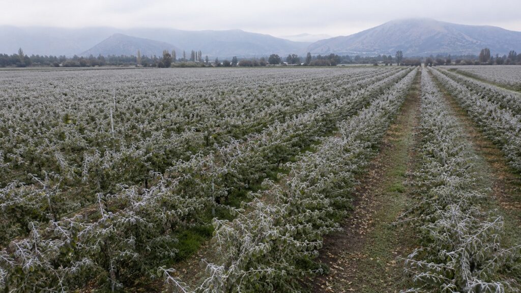 La tecnología al rescate de la agricultura nacional para que no se quede helada este invierno