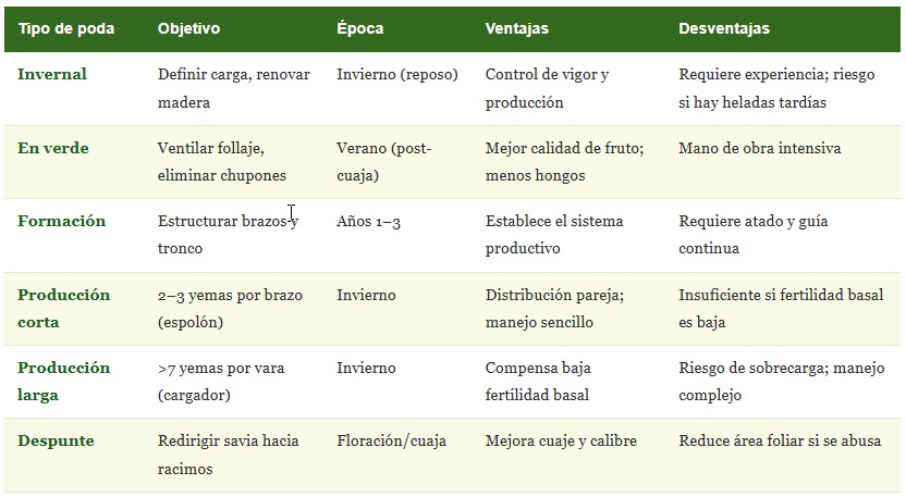 poda de la uva de mesa