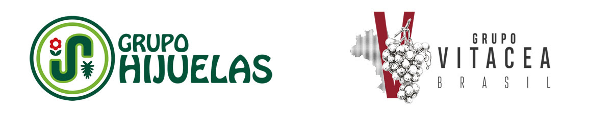 Vitácea-Hijuelas impulsa introducción de nuevas variedades frutales de baja exigencia de frío en Brasil 3 Vitácea-Hijuelas impulsa introducción de nuevas variedades frutales de baja exigencia de frío en Brasil