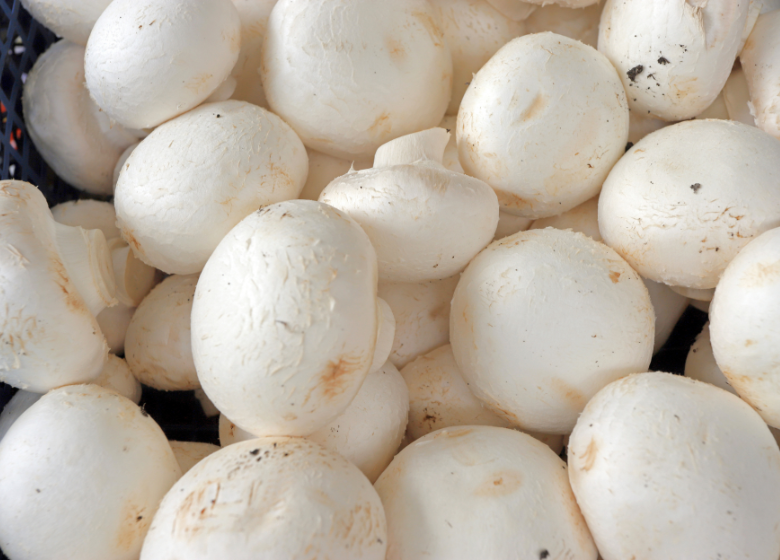 champiñones