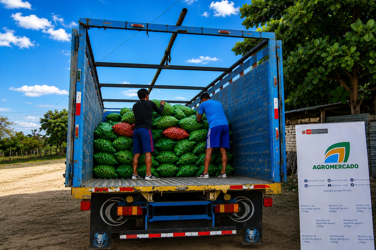 Productores de limón de Tumbes comercializan 16 toneladas a la agroindustria para exportación 3 Productores de limón de Tumbes comercializan 16 toneladas a la agroindustria para exportación