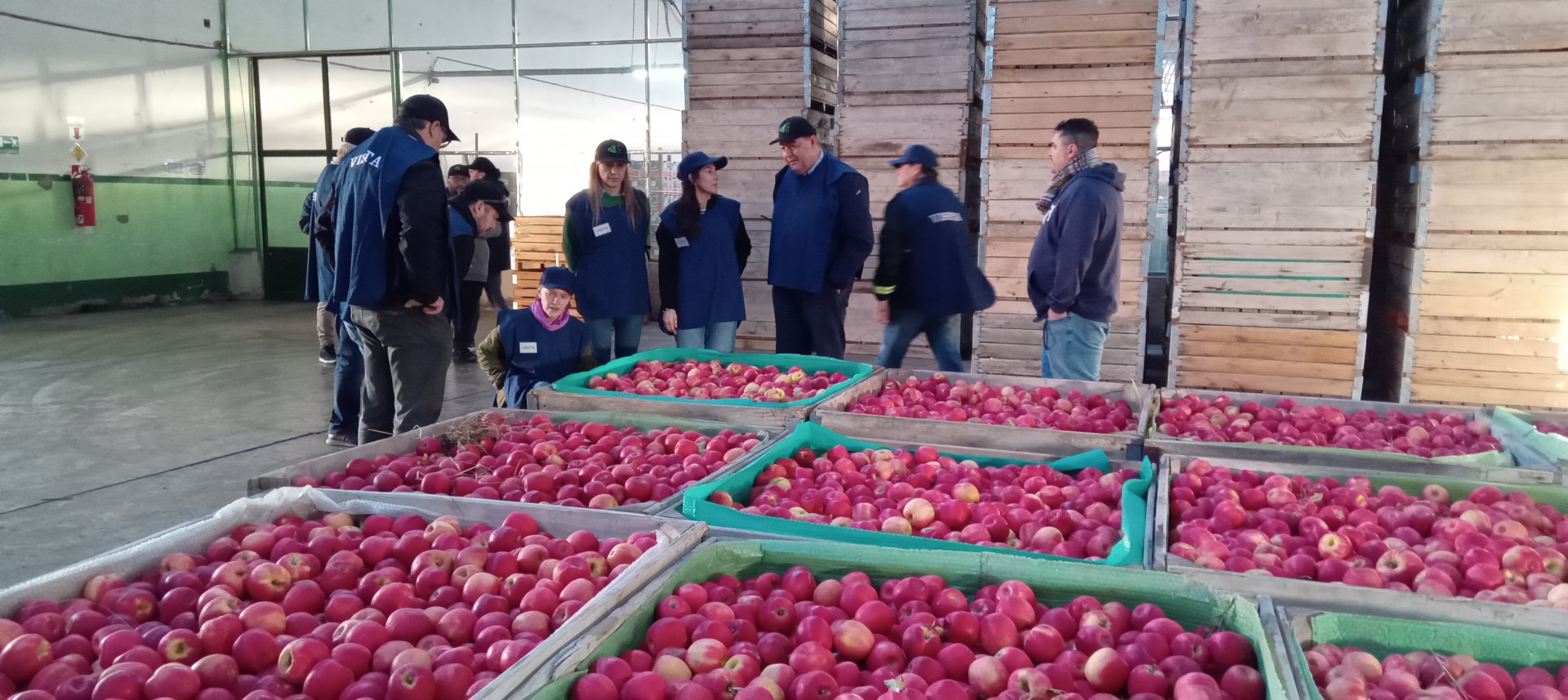 Estados Unidos refuerza cooperación fitosanitaria con Argentina para las exportaciones de fruta fresca