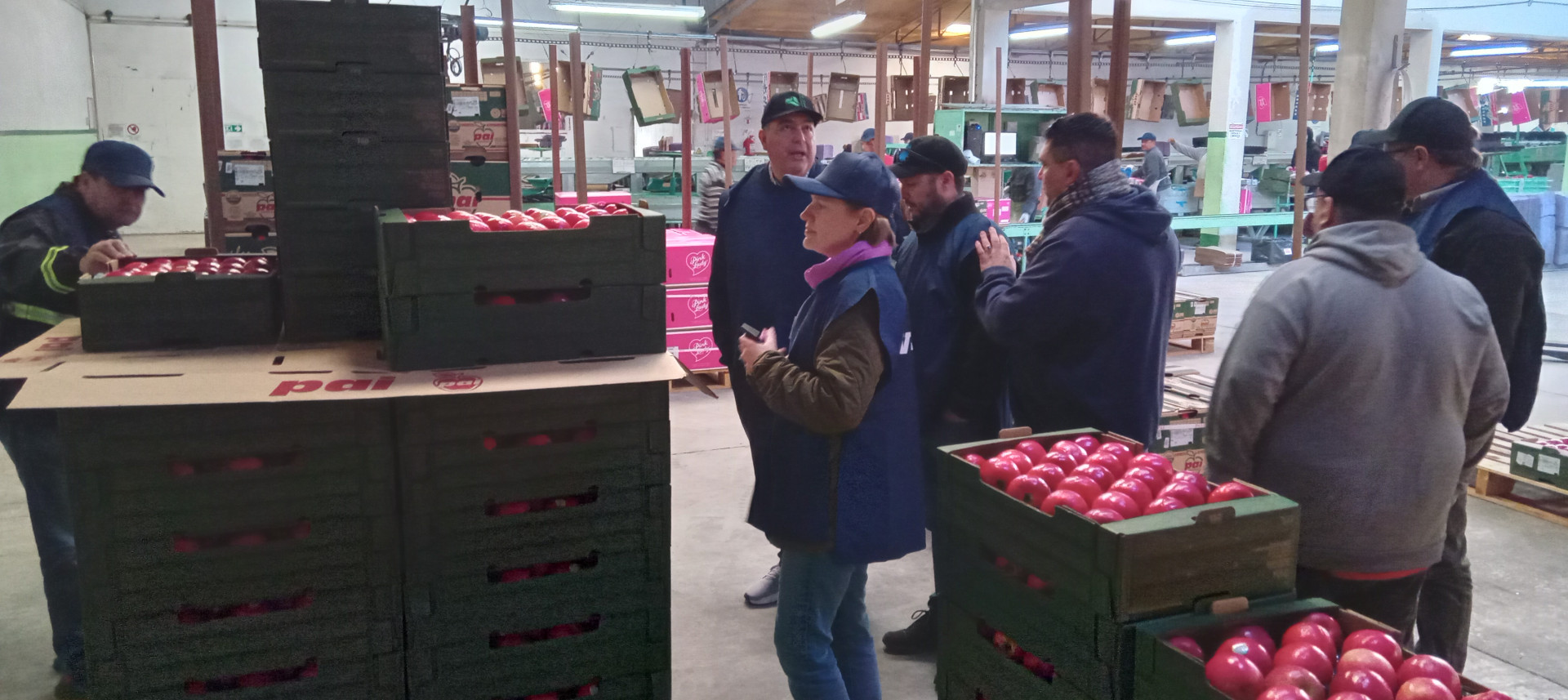 Estados Unidos refuerza cooperación fitosanitaria con Argentina para las exportaciones de fruta fresca