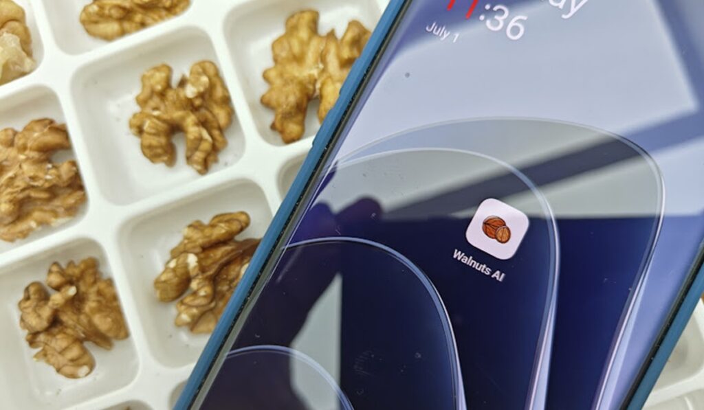 Plataforma chilena impulsada por IA busca llevar al sector de las nueces a una nueva era