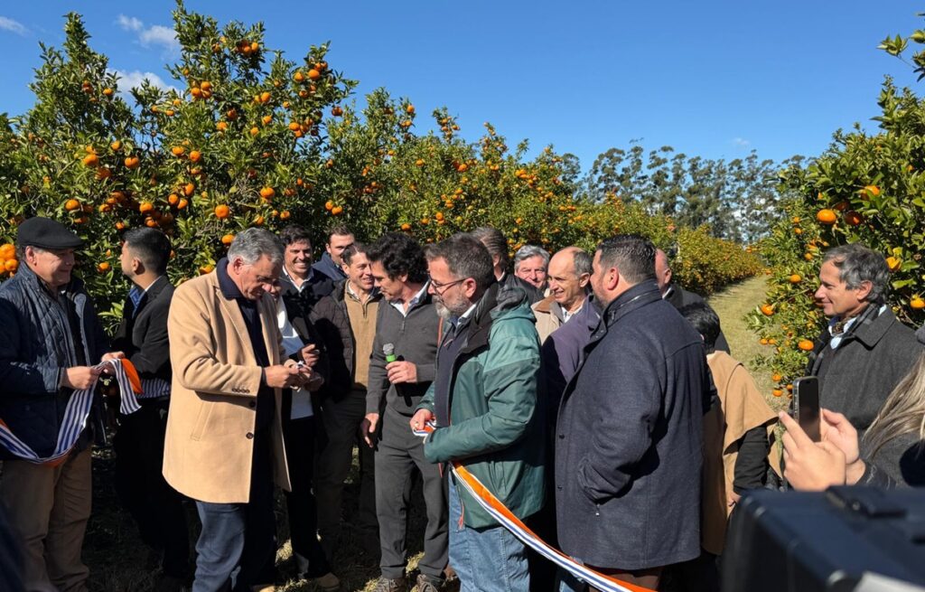 Uruguay intensifica la prevención del HLB con una campaña nacional para proteger su industria citrícola