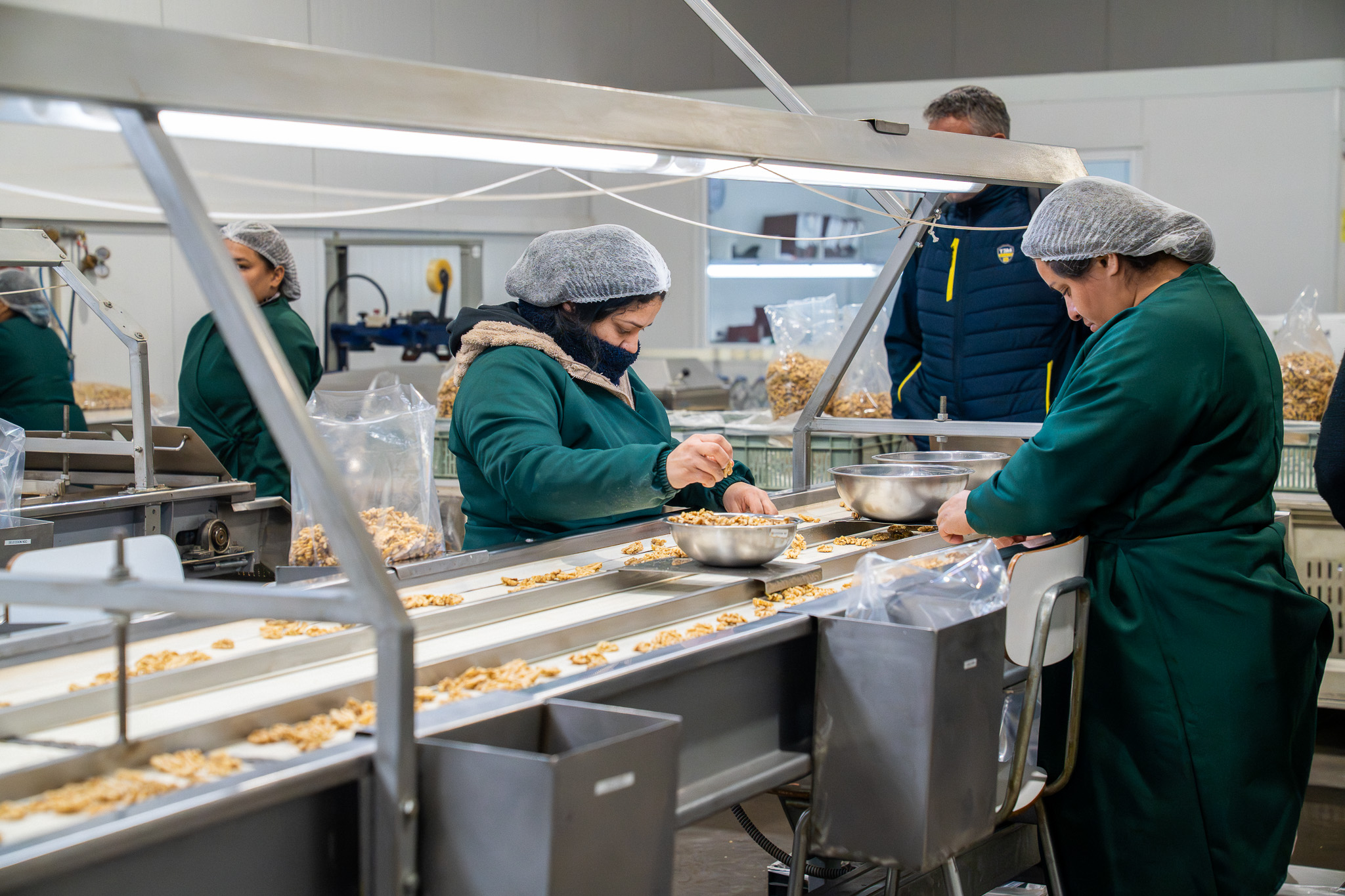 Chile destaca en la industria mundial de la nuez: Francia busca aprender del modelo productivo local