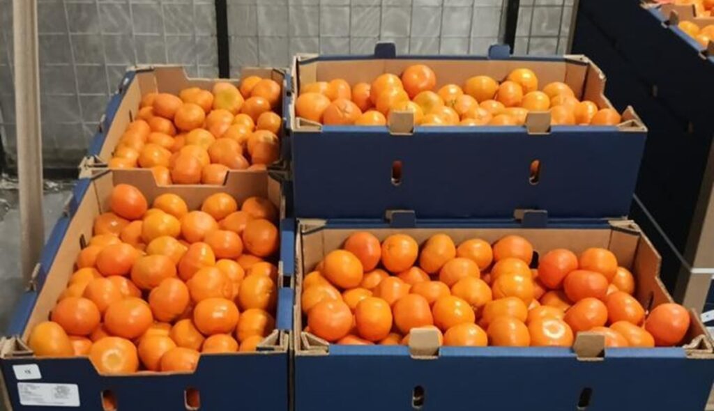Ecuagroimport busca consolidar sus exportaciones de mandarina Tango a Estados Unidos