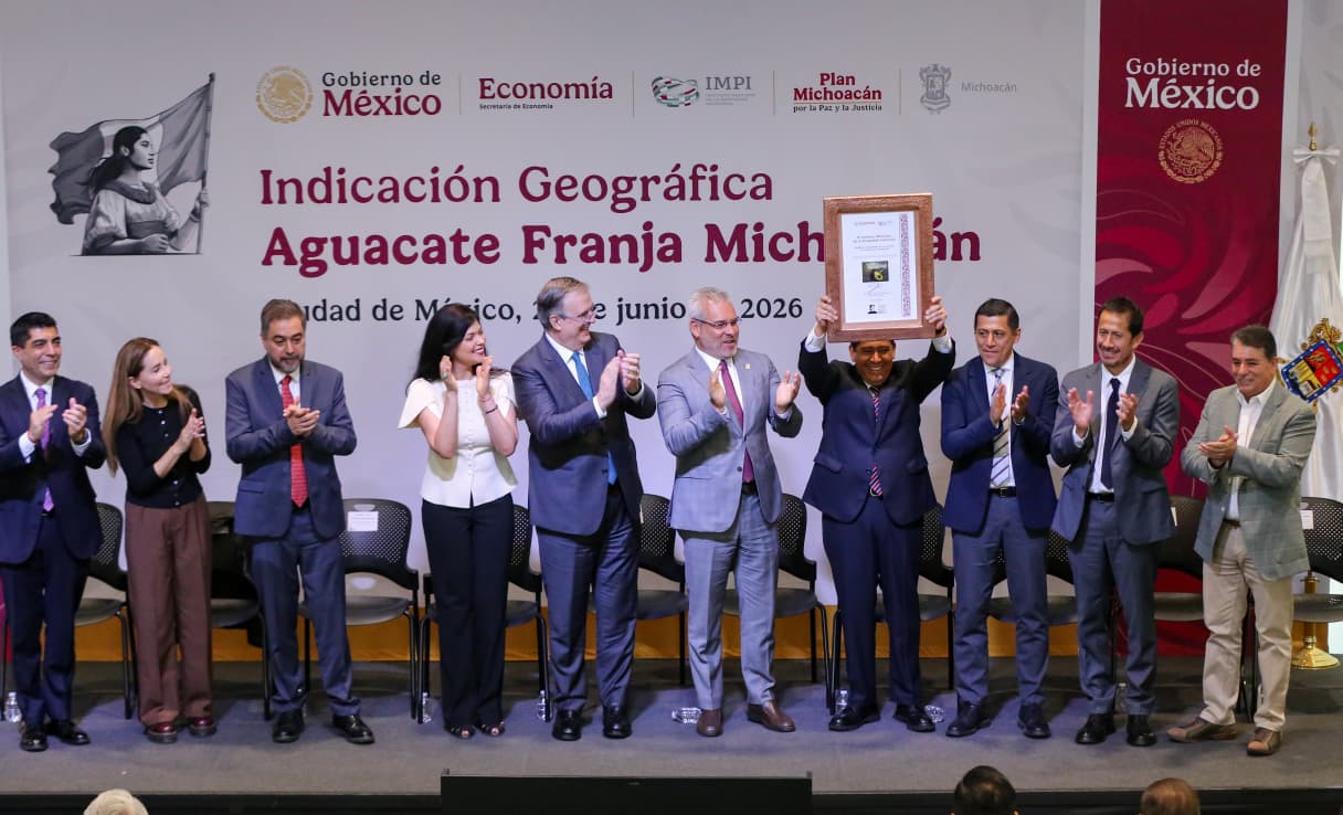 México celebra un hito: Aguacate Franja Michoacán obtiene Indicación Geográfica y fortalece su presencia internacional 4 México celebra un hito: Aguacate Franja Michoacán obtiene Indicación Geográfica y fortalece su presencia internacional