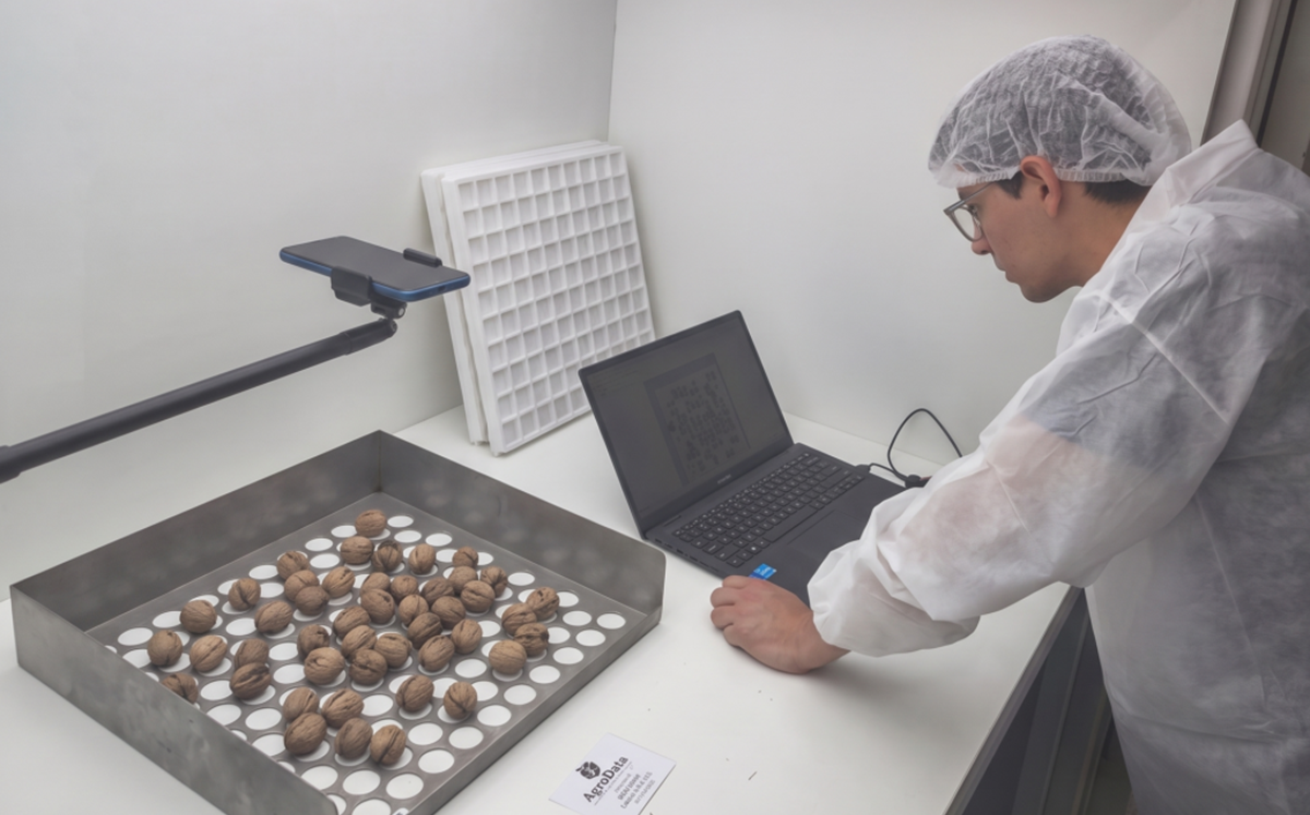Plataforma chilena impulsada por IA busca llevar al sector de las nueces a una nueva era 4 Plataforma chilena impulsada por IA busca llevar al sector de las nueces a una nueva era