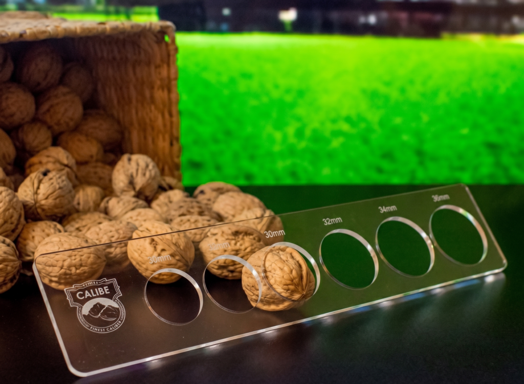 Plataforma chilena impulsada por IA busca llevar al sector de las nueces a una nueva era 3 Plataforma chilena impulsada por IA busca llevar al sector de las nueces a una nueva era