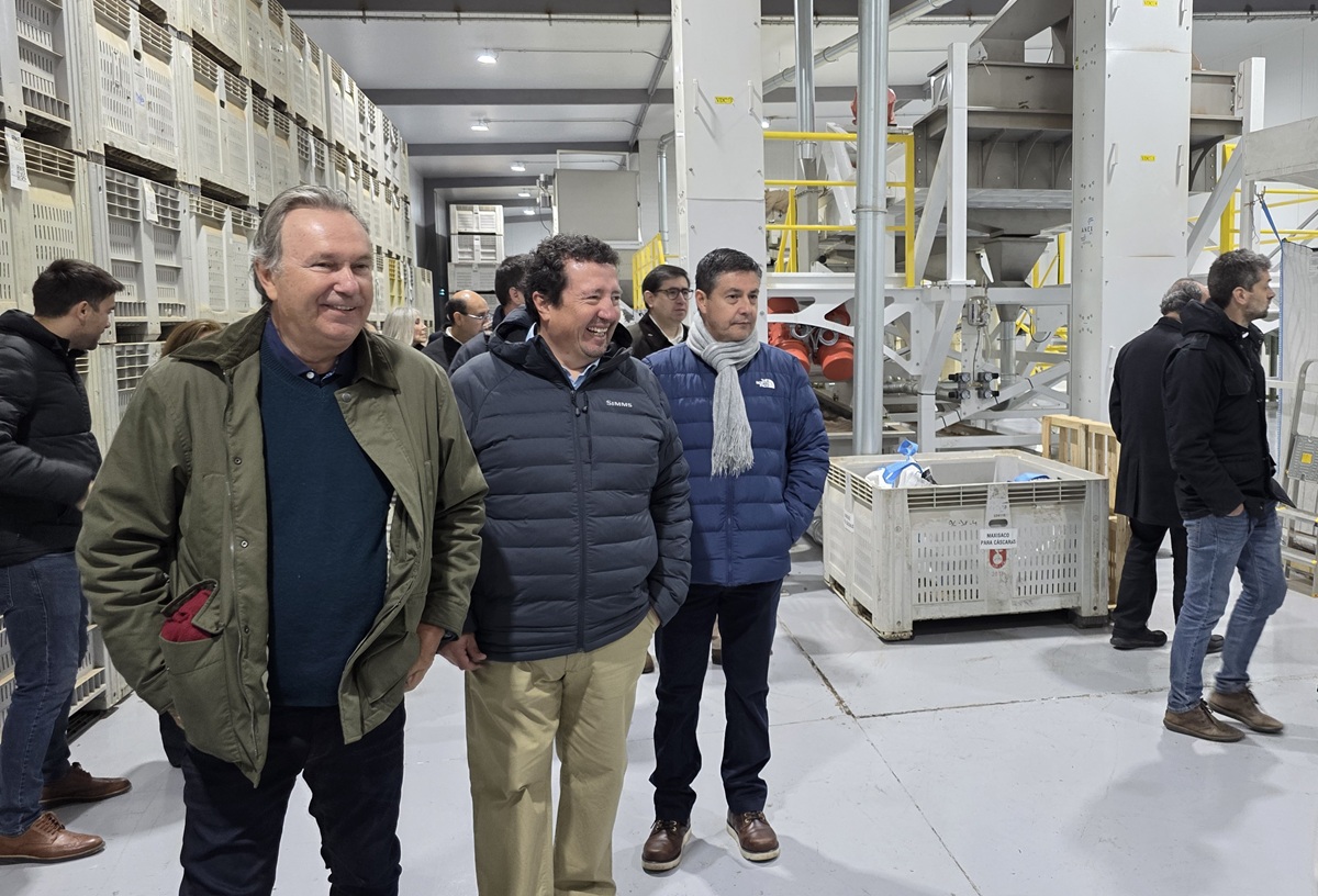 Chile inaugura la planta de procesamiento de avellano más austral del mundo 6 Chile inaugura la planta de procesamiento de avellano más austral del mundo