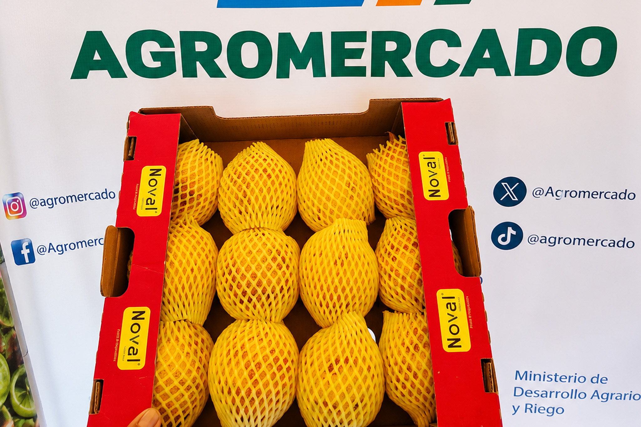 Granadilla de Puno llega a Alemania: productores de la provincia de Sandia concretan primer envío de fruta lista para consumir