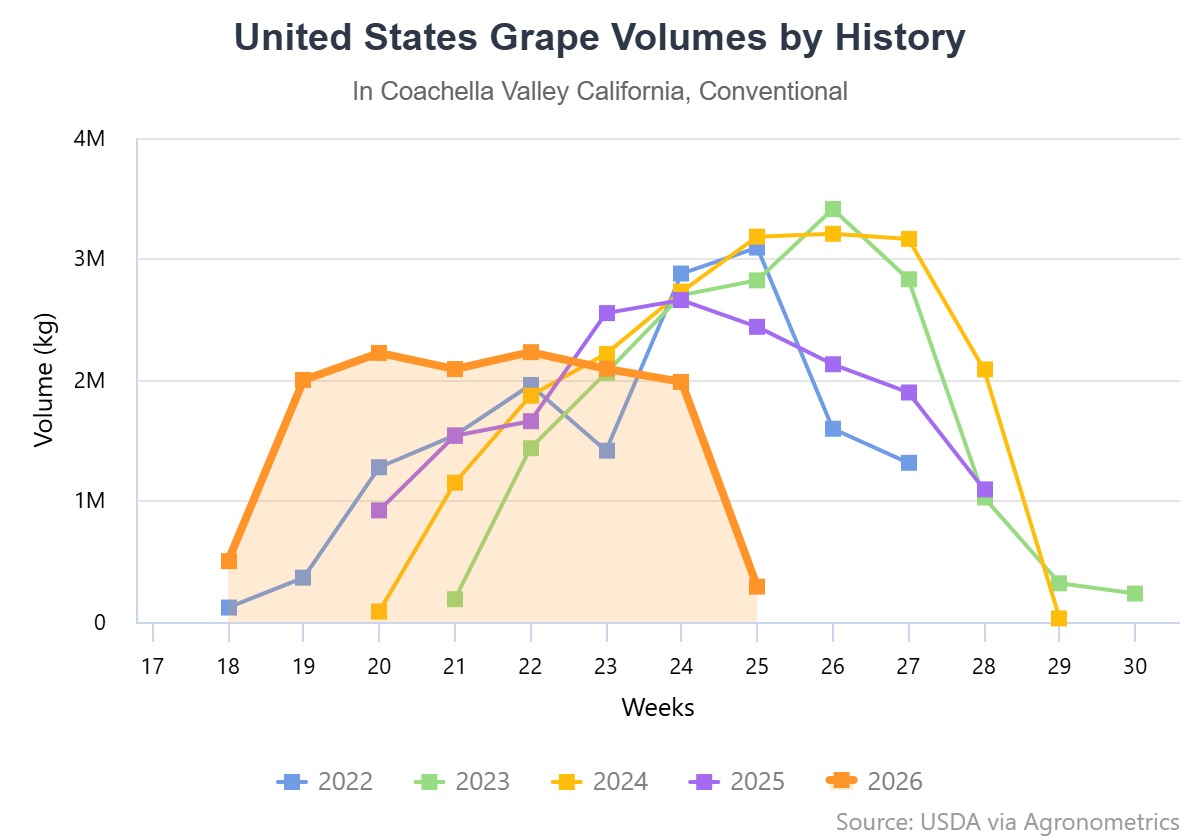 El impacto de la cosecha temprana del Valle de Coachella en la transición del mercado de uva de mesa en Estados Unidos