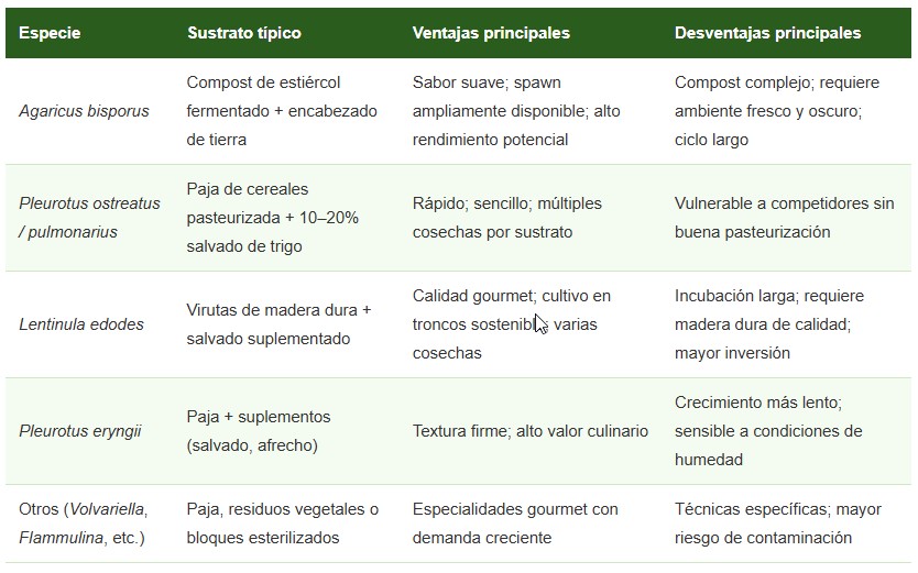 champiñones