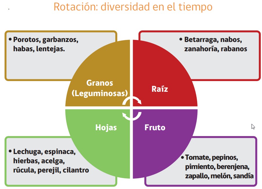 rotación de cultivos