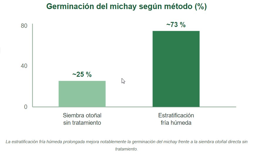michay