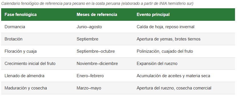 nuez pecana